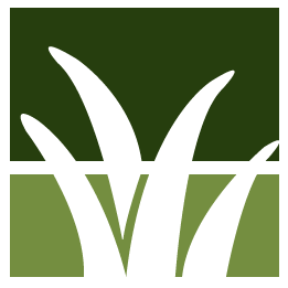 Pine Needle Removal