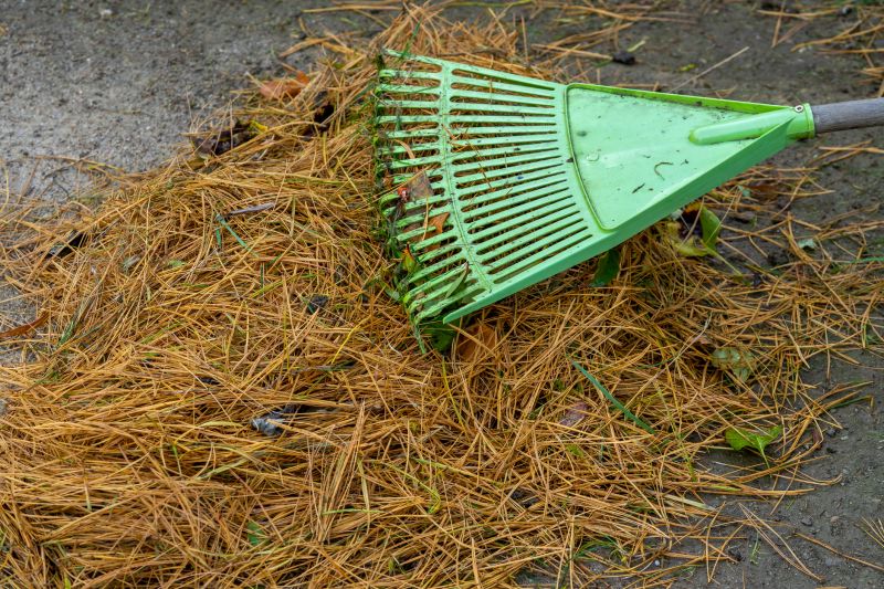 spade pine needle removal