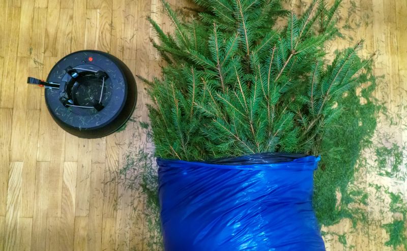 spade pine needle removal