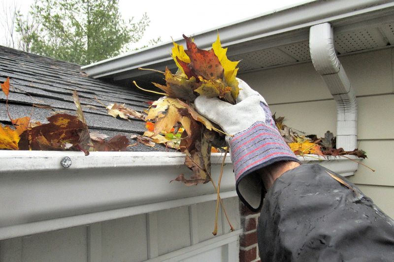 Gutter Protection